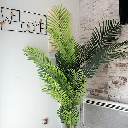 公寓 Angouleme, Cosy T2 Centre , Tv , Wifi , 4 Pers , Moderne , Parking